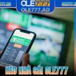 Kèo Nhà Cái Ole777 - Cơ Hội Thắng Lớn Rinh Tiền Khủng